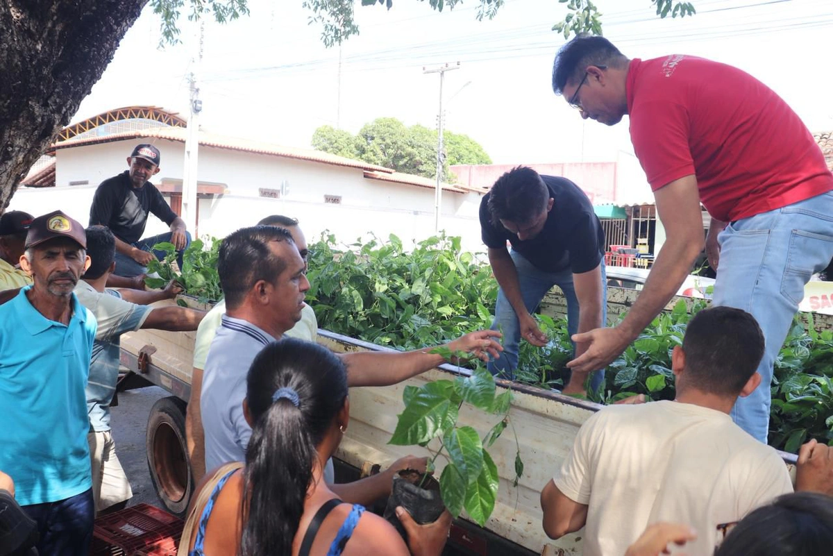 Prefeitura de Castelo do Piauí realiza entrega de 800 mudas de maracujá a agricultores familiares