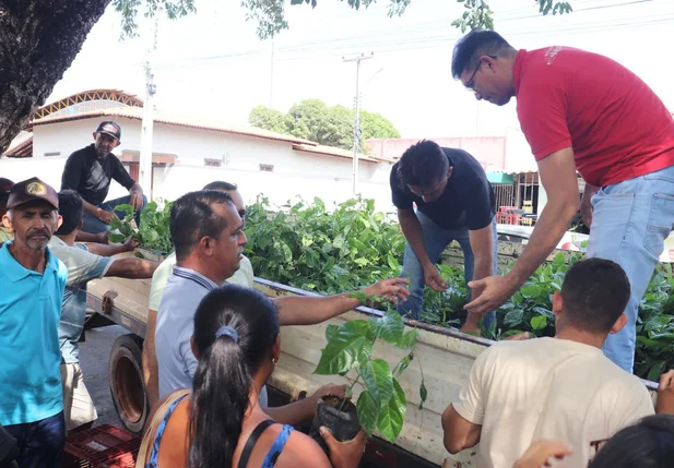 Prefeitura de Castelo do Piauí realiza entrega de 800 mudas de maracujá a agricultores familiares