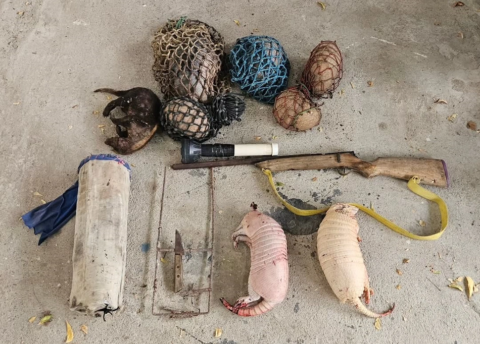 Tatus abatidos, gambá morto, arma e pólvora foram encontrados