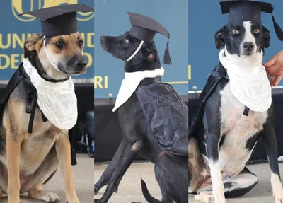 UFCA realiza formatura simbólica de cães que fazem parte da rotina universitária