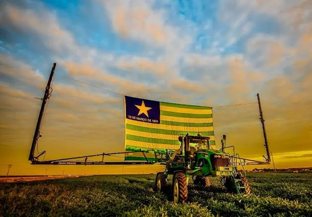 Uruçuí lidera exportações e impulsiona balança comercial do Piauí em 2025