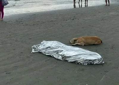 Cachorro ao lado de dono