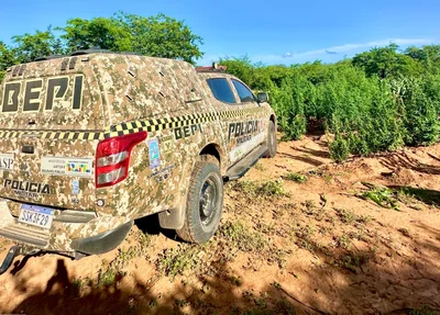 Equipe do BEPI no local onde foi encontrada a plantação de maconha