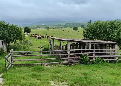Fazenda Floresta & Texas