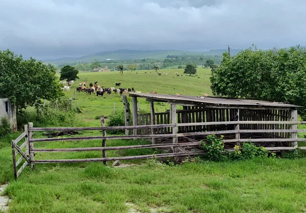 Fazenda Floresta & Texas