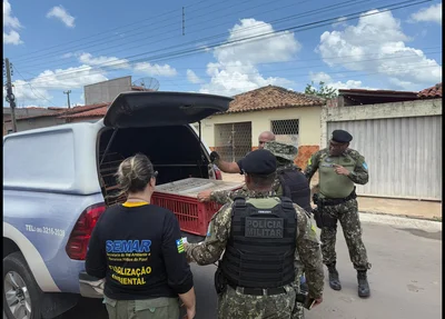 Operação realizada pela Semarh foi realizada com apoio das polícias Civil e Militar