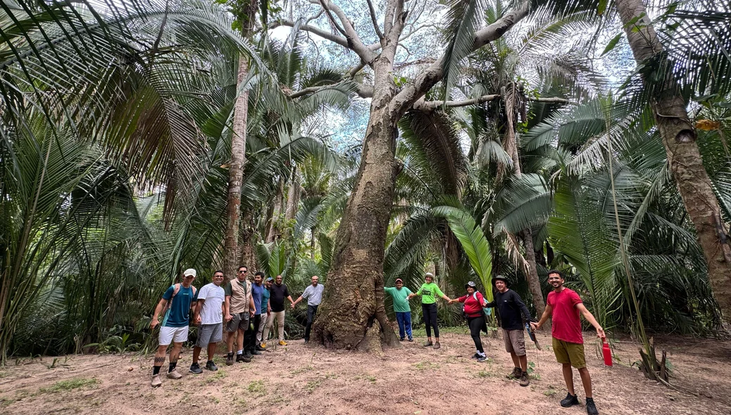 Curso foi promovido em parceria com o SENAR