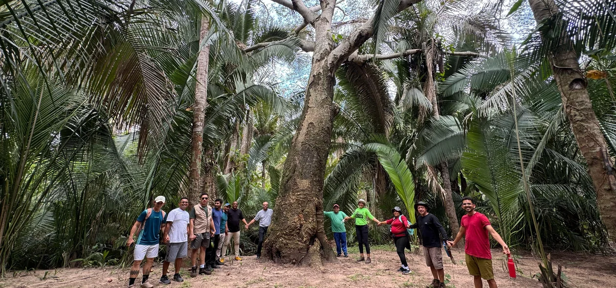 Curso foi promovido em parceria com o SENAR