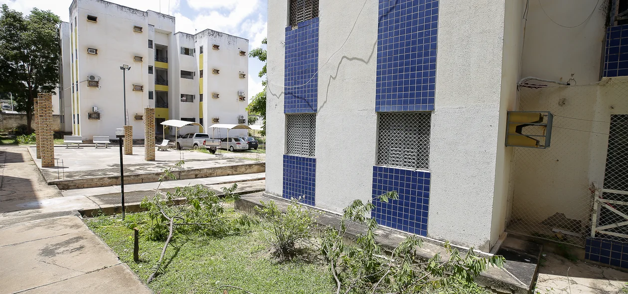 Árvores cortadas na área comum
