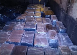 Droga apreendida pela PF em Céu Azul-PR