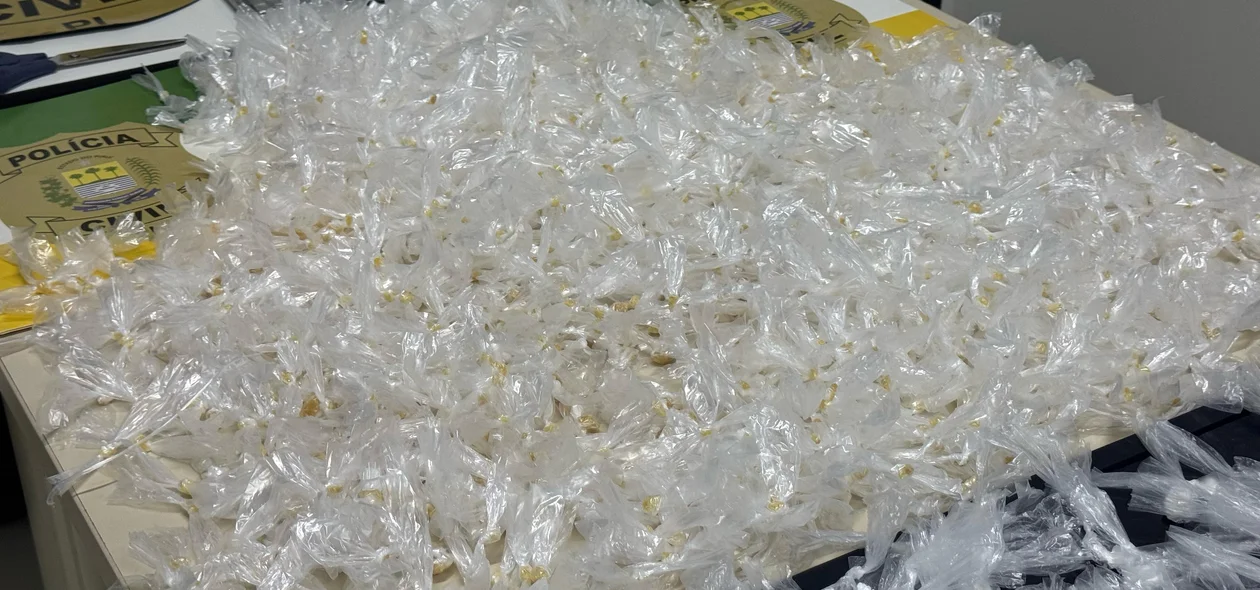 Drogas apreendidas durante megaoperação na zona leste de Teresina