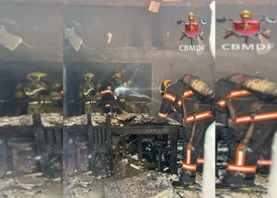 Equipe do Corpo de Bombeiros resgatam animal no incêndio