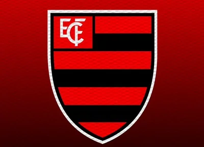 Escudo do Flamengo-PI