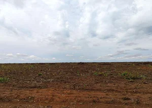 Fazenda Angico alvo de disputa judicial entre fazendeiros