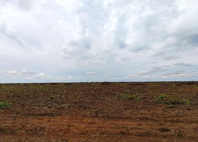 Fazenda Angico alvo de disputa judicial entre fazendeiros