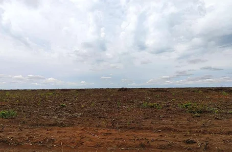 Fazenda Angico alvo de disputa judicial entre fazendeiros