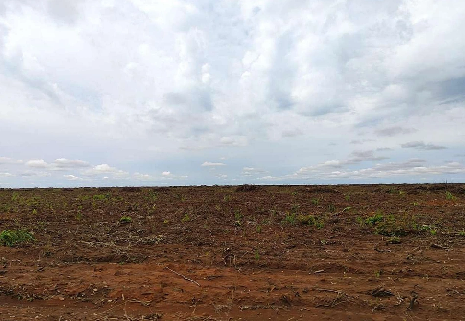 Fazenda Angico alvo de disputa judicial entre fazendeiros