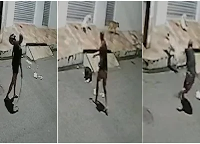 Homem espancando animais de rua