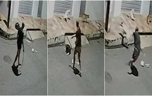 Homem espancando animais de rua