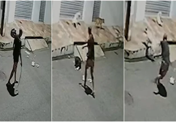 Homem espancando animais de rua