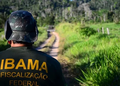 IBAMA - Instituto Brasileiro do Meio Ambiente e dos Recursos Naturais Renováveis