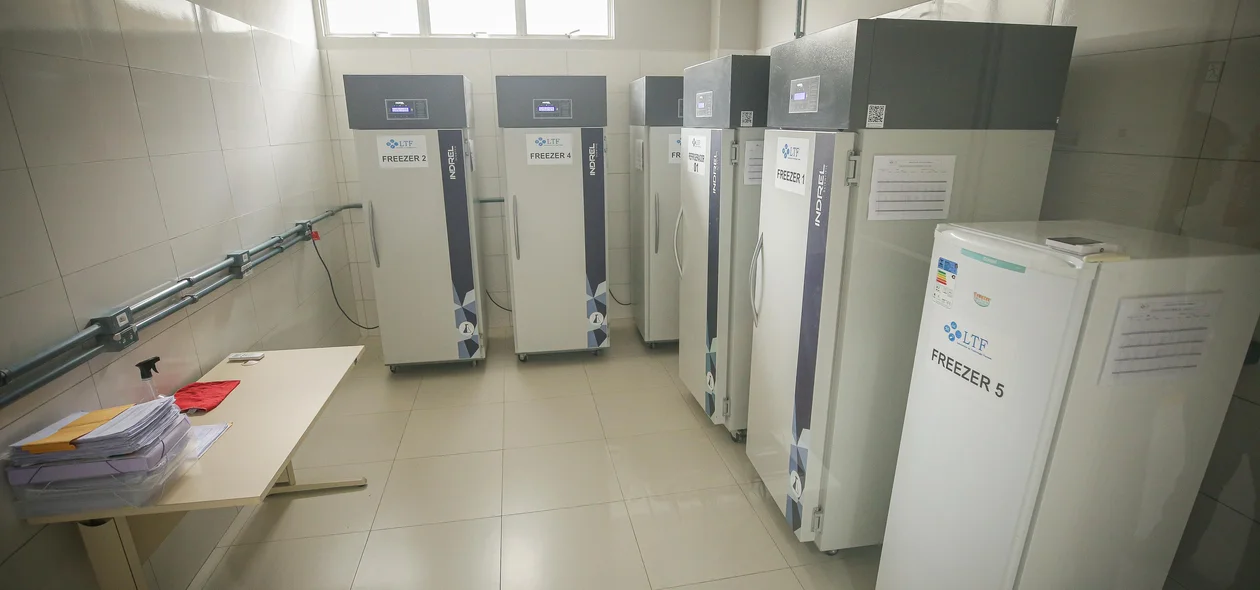 Interior da sala de armazenamentos de amostras