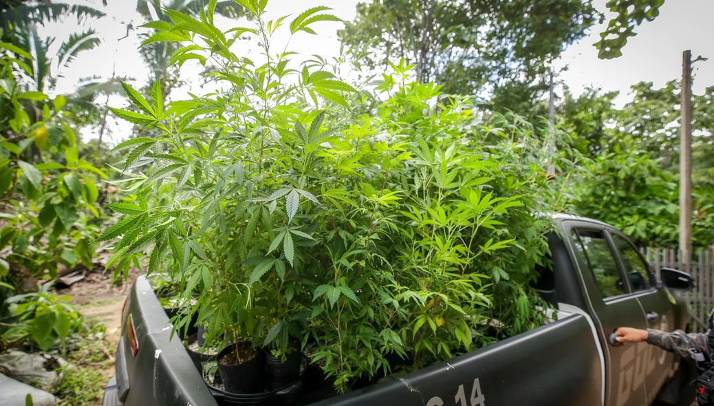 Laboratório de drogas é desarticulado pelo DENARC na zona Sudeste de Teresina