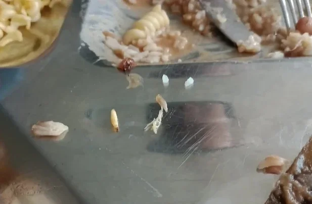Larvas encontradas no Restaurante Universitário da UFMA