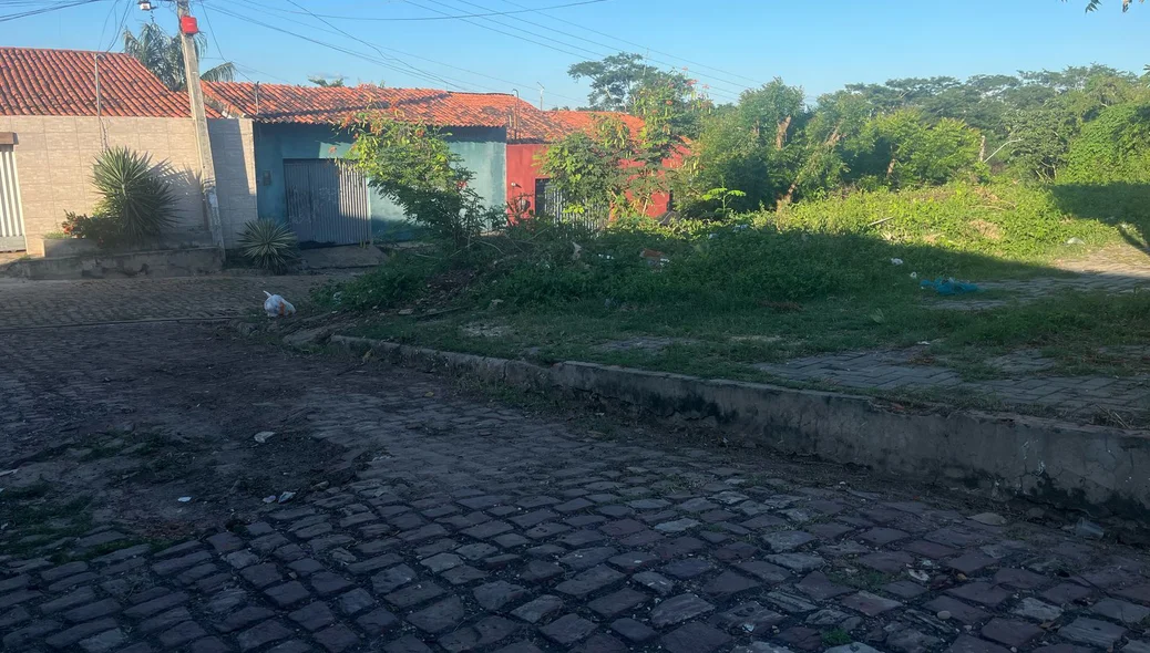 Limpeza realizada na comunidade