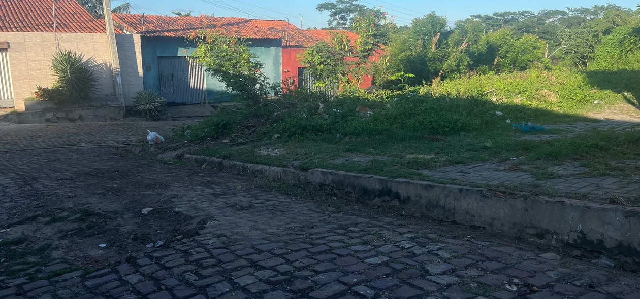 Limpeza realizada na comunidade