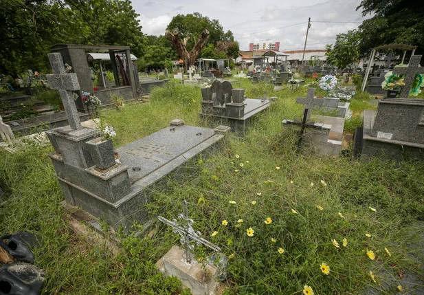 O local está tomado pelo mato