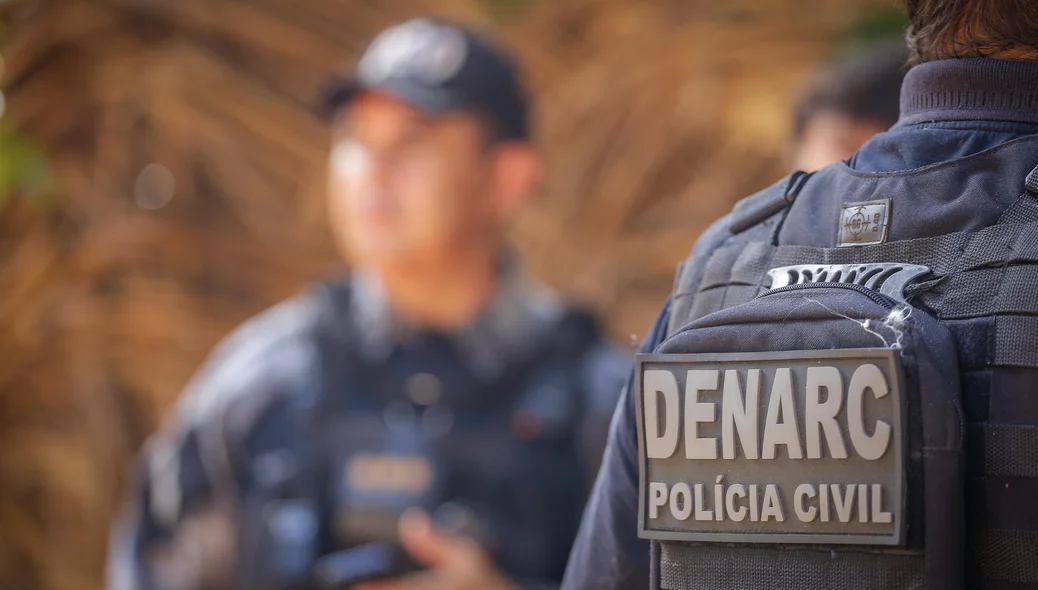 Operação do Denarc desarticula várias estufas do crime em Teresina