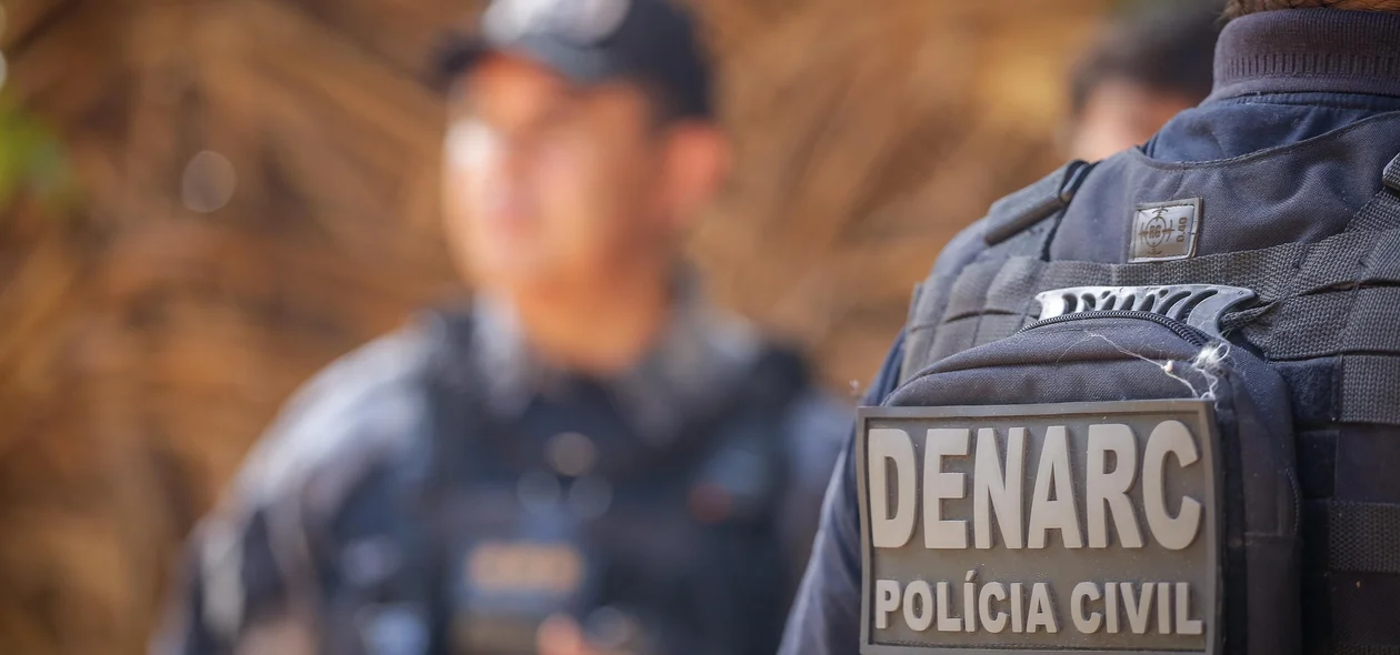 Operação do Denarc desarticula várias estufas do crime em Teresina