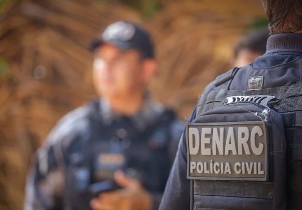 Operação do Denarc desarticula várias estufas do crime em Teresina