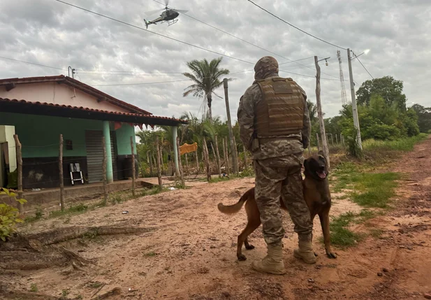 Operação do DRACO no município de Nazária