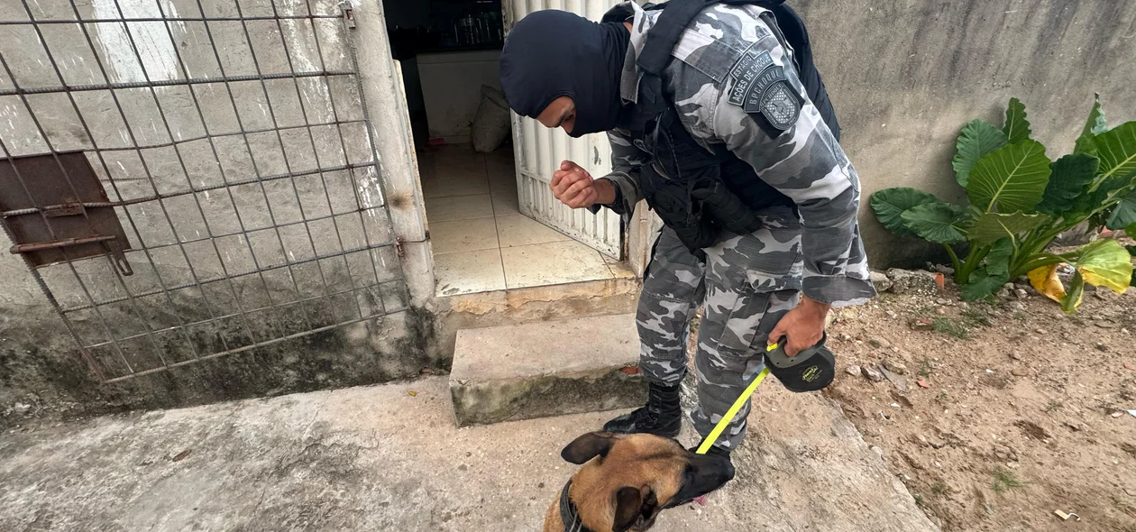 Operação foi lançada após lançamento do Pacto pela Ordem