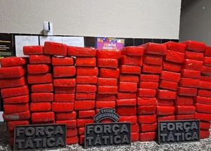 Polícia Militar apreendeu 293 tabletes de maconha