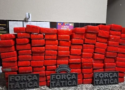 Polícia Militar apreendeu 293 tabletes de maconha