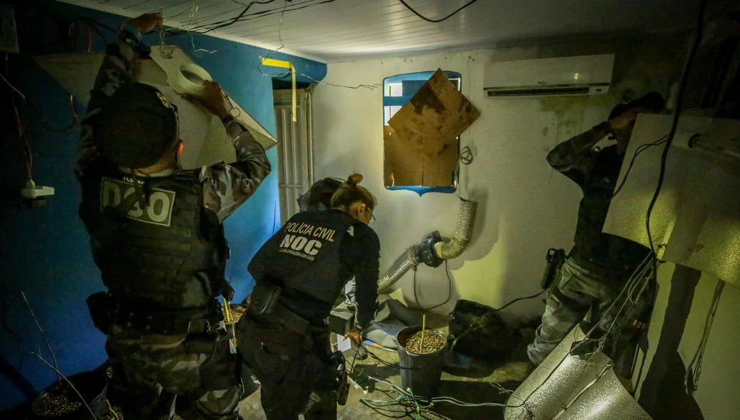 Policiais desmontam estufa do crime em Teresina