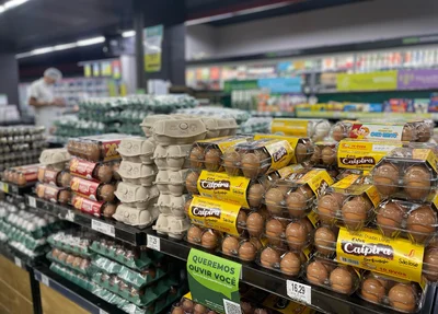 Preço dos ovos em supermercados de Teresina