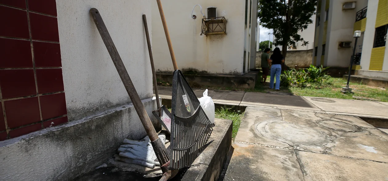 Corte de árvores só pode ser feito sob autorização da SEMAM
