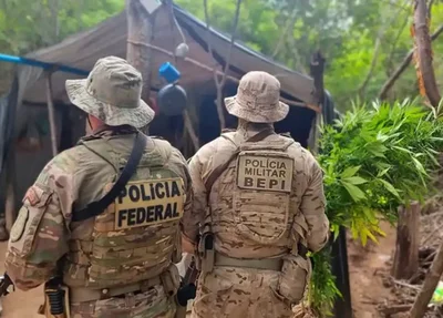 Ação conjunta entre a PF e o BEPI