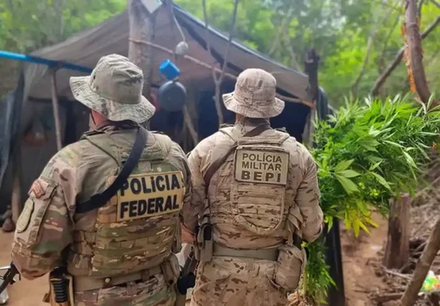 Ação conjunta entre a PF e o BEPI