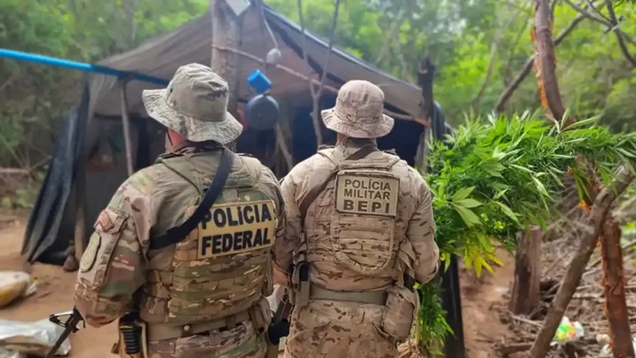 Ação conjunta entre a PF e o BEPI