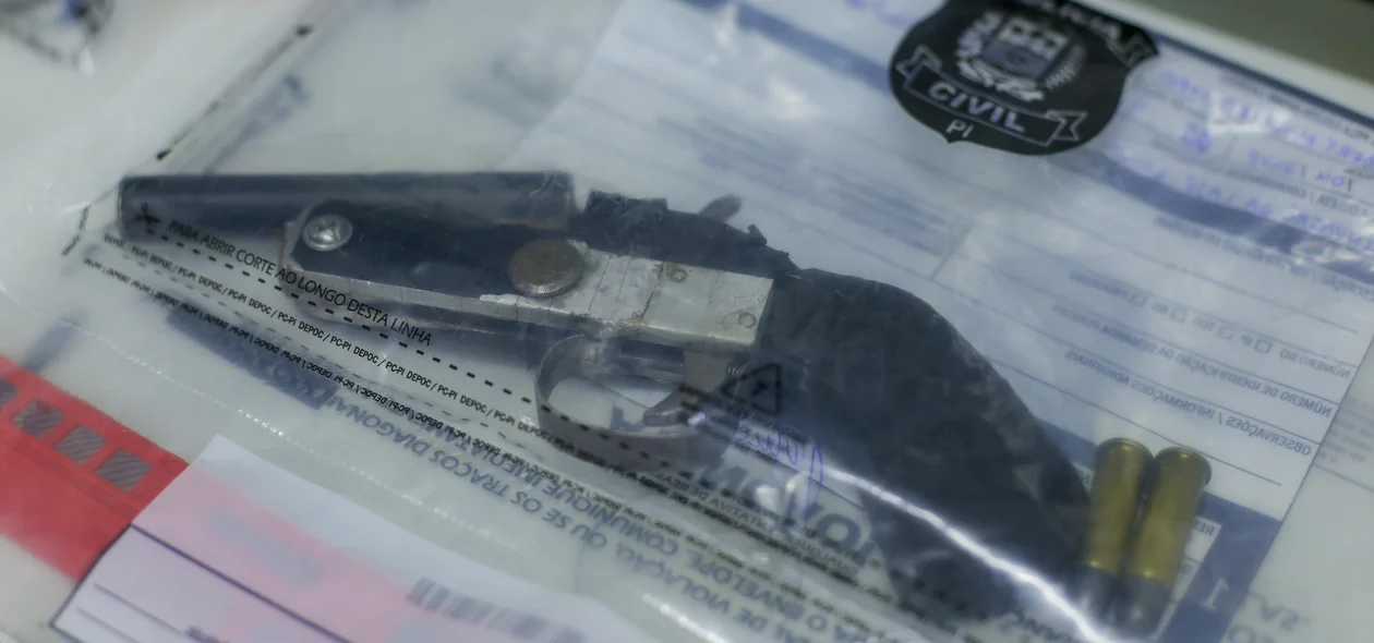 Arma de fogo apreendida pelo DENARC