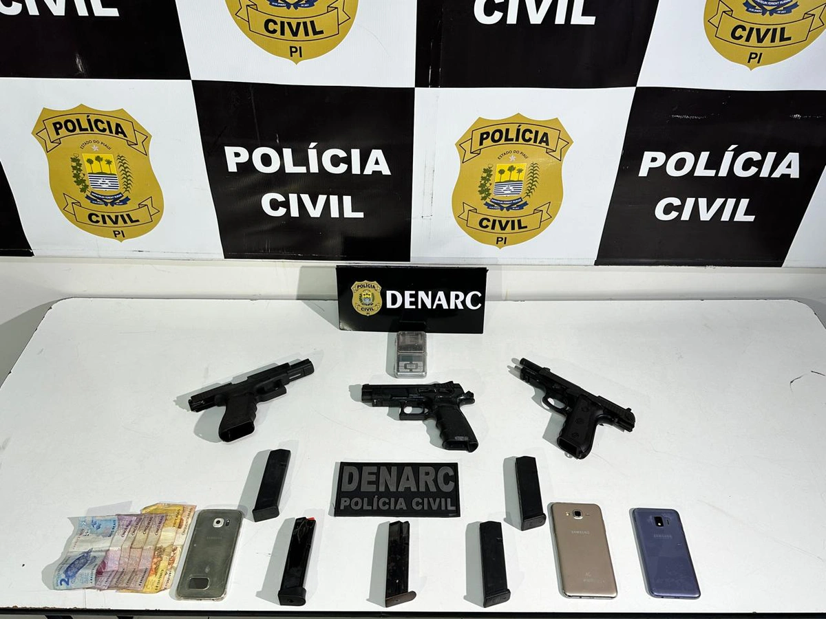 Armas de fogo apreendidas pelo DENARC durante operação