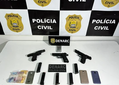 Armas de fogo apreendidas pelo DENARC durante operação