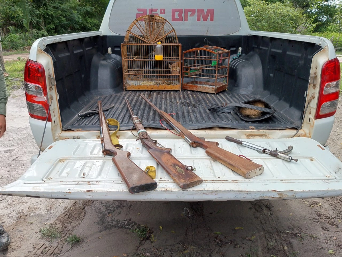 Armas de fogo e armas apreendidas em São João do Arraial