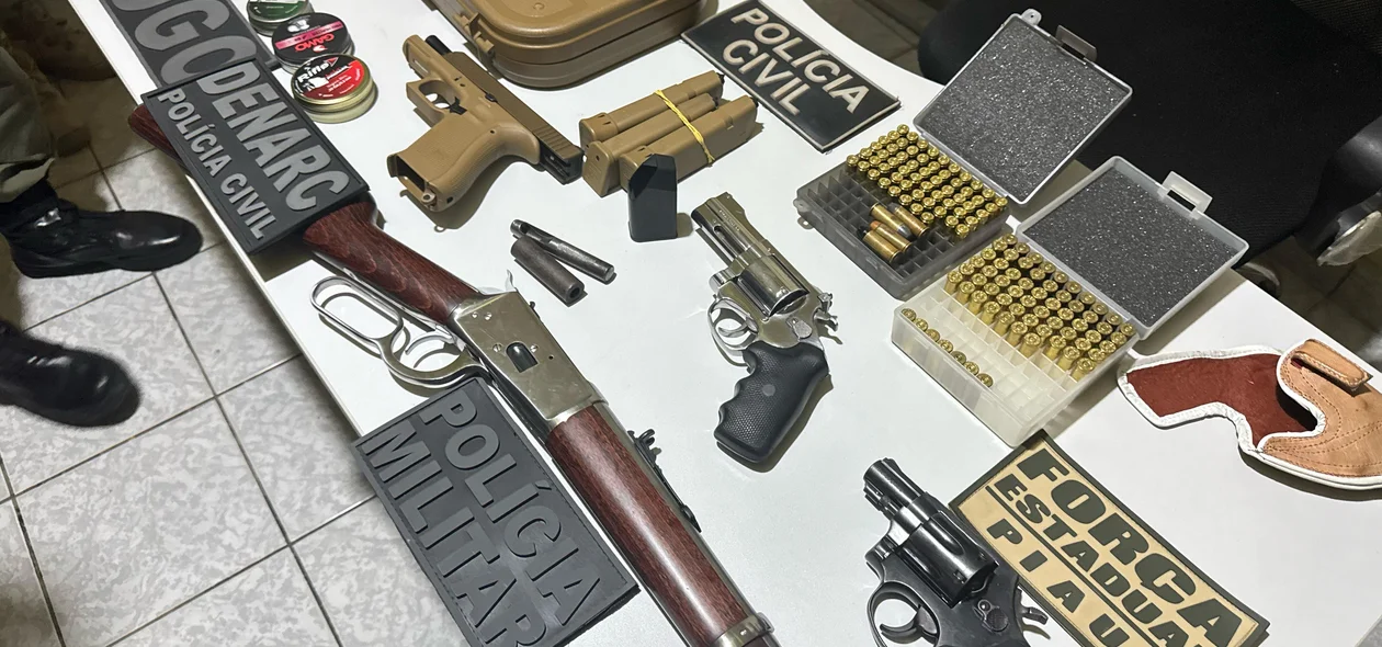 Armas de fogo e munições apreendidas