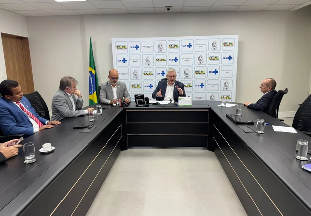 Bancada federal do Piauí se reuniu com o Ministério da Saúde